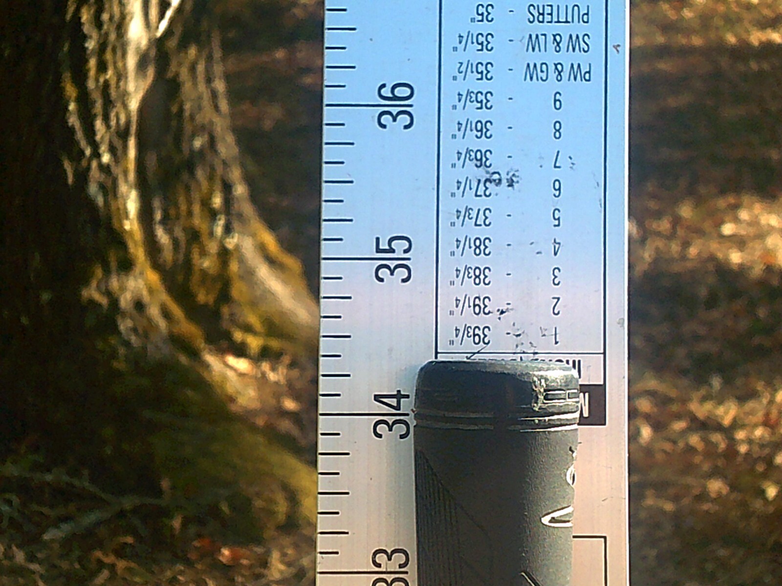 Picture 8 of 8