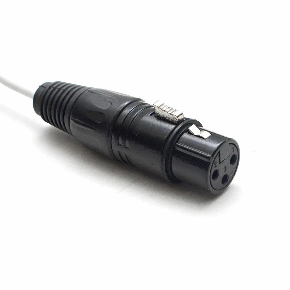 DB25 - 8 Channel XLR Female 3 Foot D-Sub Snake Cable Patch Bay Interface Modular - Image 3 of 3