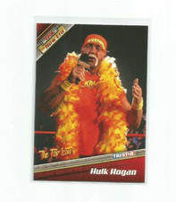 2010 TriStar TNA Icons Review 19