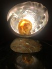VTG 1930s Abalone Pearl Sea Shell Lamp Night Light Beach Decor Accent Desk Light — photo 3