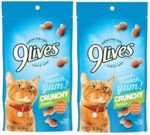 mighty paw martingale collar