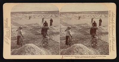 after evaporation,--turning up the salt--salt fields, Solinen, Russia 1898