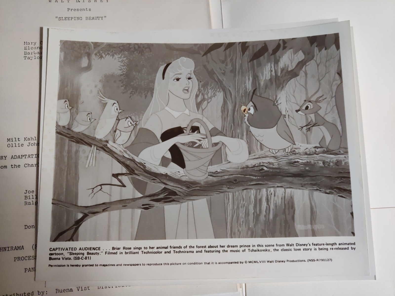 Picture 5 of 12