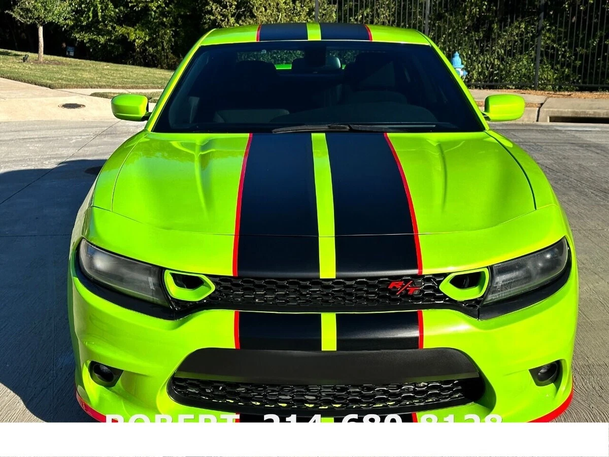 2016 Dodge Charger R T CUSTOM POLICE H.O. V8 5.7 ENGINE SEE VIDEO
