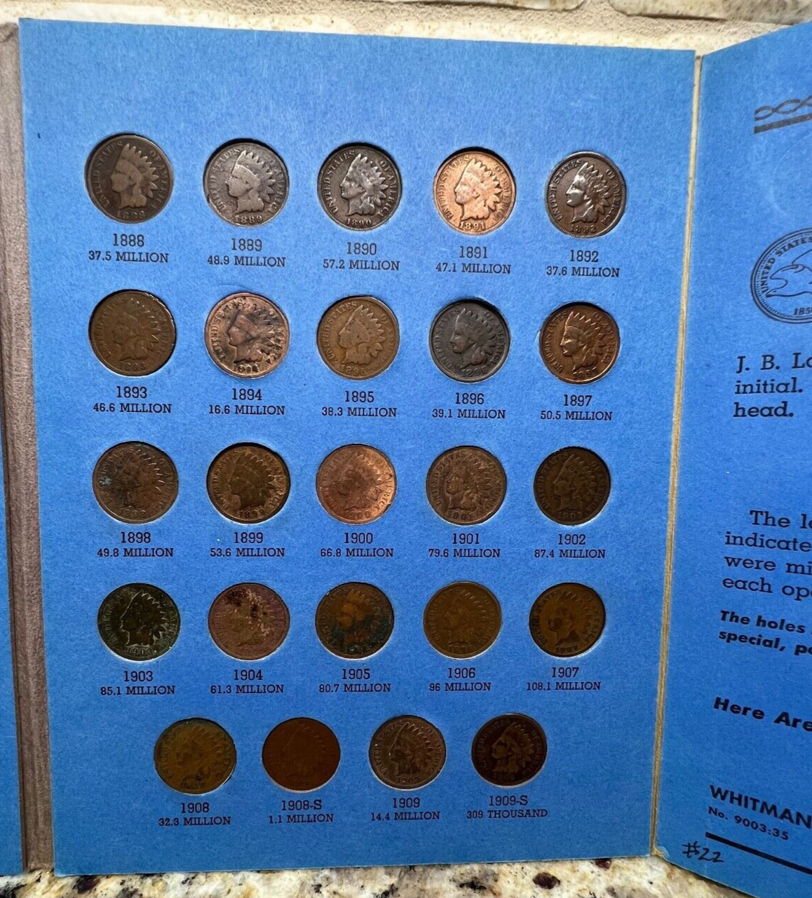 Picture 5 of 19