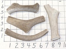 4 Deer Antler Dog Chew Treats