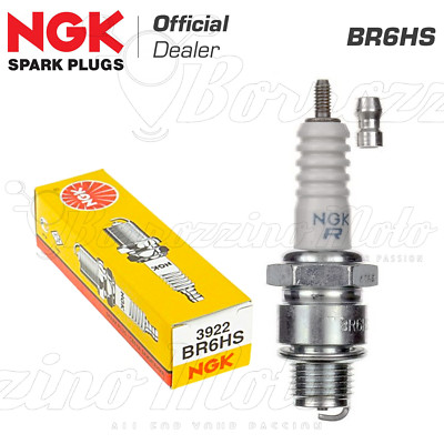 ORIGINAL NGK ZÜNDKERZE BR6HS COSSACK PLANET 350