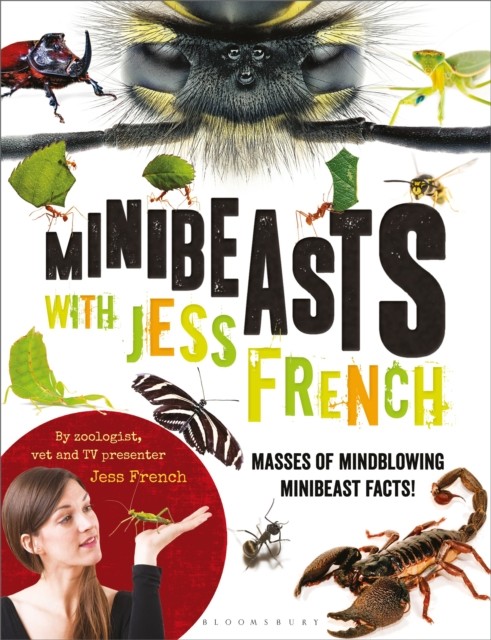 Minibeasts with Jess French: Masses of mindblowing minibeast facts! - Image 3