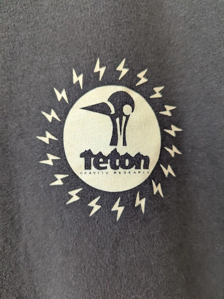 Camiseta gráfica Teton Gravity Research x Futurebirds S banda indie rock jam gorpcore Foto 3 de 4