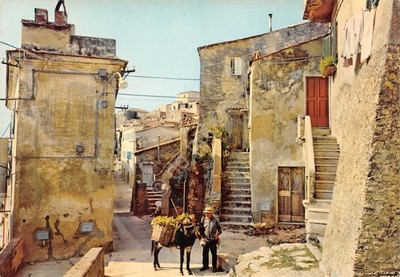 Postcard Island of Elba Capoliveri the Ditch animated donkey mule 1970s