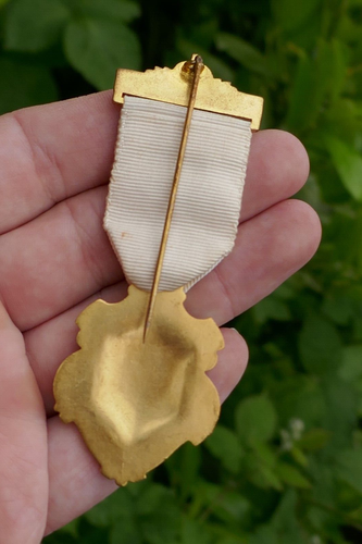 Vintage 1945 Royal Masonic Institution For Girls Steward Enameled Medal / Badge - Picture 3 of 5