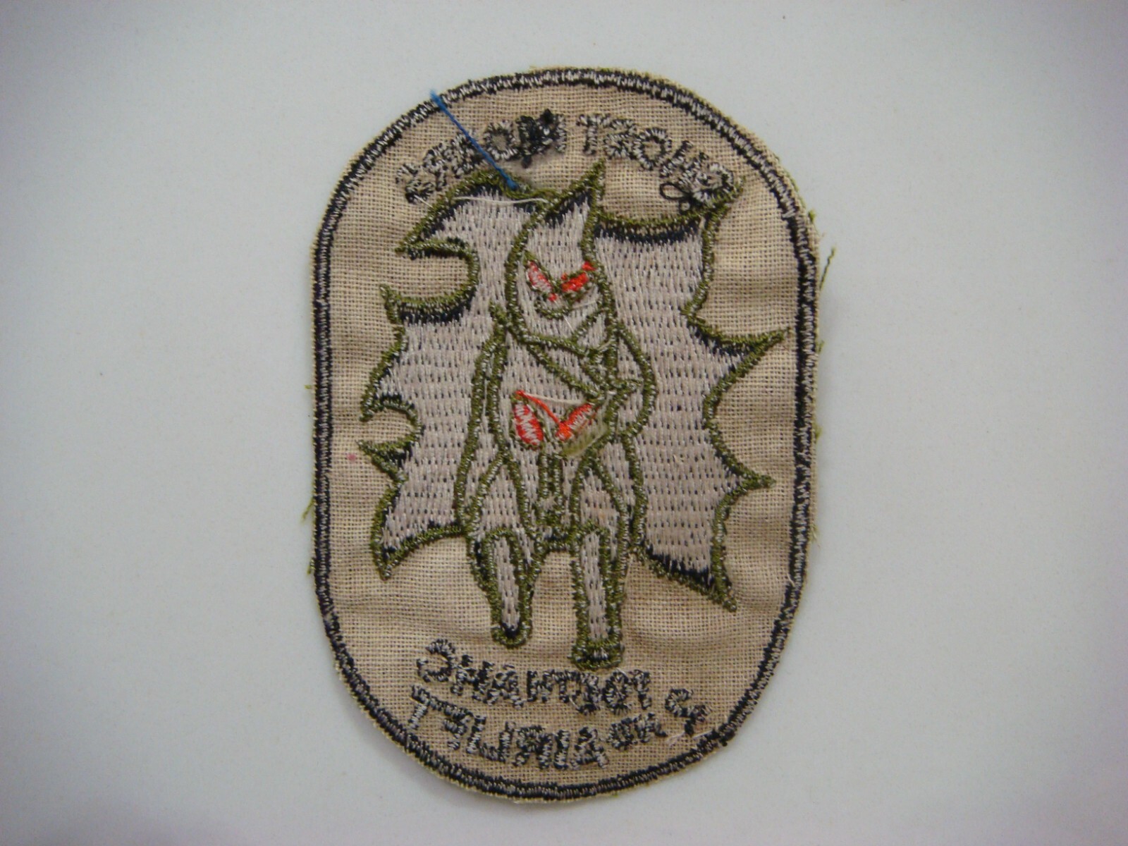 US 2nd AiIRLIFT GHOST RIDERS PLT 195th ASSAULT HELICOPTER Co, VIETNAM ...