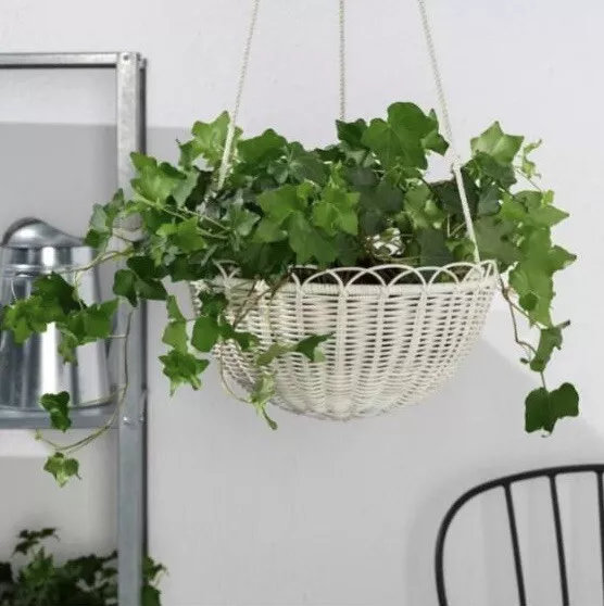 Indoor sale hanging baskets
