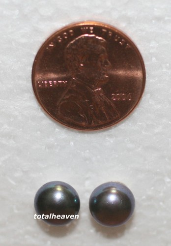 Solid Sterling Silver 10mm Cultured Black Pearl Stud Earrings Heavy Duty Backs - Picture 7 of 10