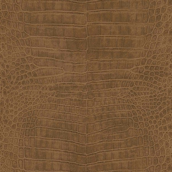 Vliestapete 751314 Tapete Tiere 53 X 1005 Cm Rasch African Queen Iii Braun-image
