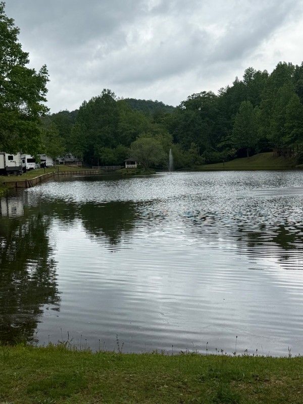 2 Deeded Lots for Sale In Rv Resort Located In Helen , Ga.