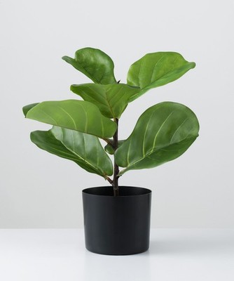 casa NOVA Kunstpflanze FICUS LYRATA LBH 35x35x47 cm grün Pflanze