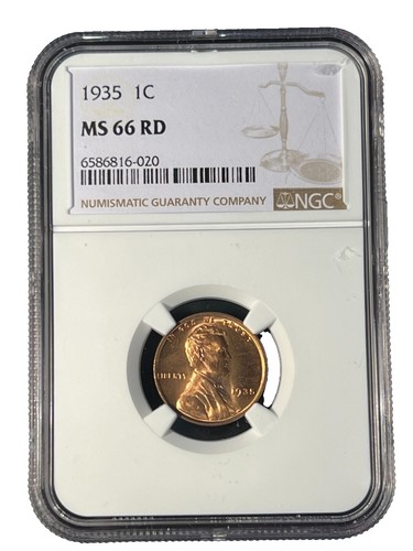 1891 Indian Head Cent NGC MS 66 BN #101 Beautiful | eBay