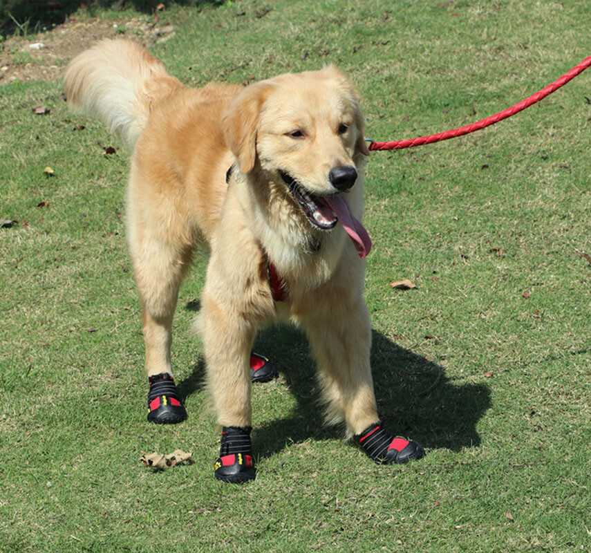 M5XL large dogs Pet Dog Rain Shoes WaterProof Boots Socks Rubber Non