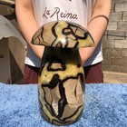 12.9LB Natural Septarian Dragon quartz Crystal mushroom Mineral Specimen Healing — photo 2