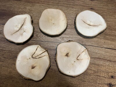 Maple Log Slices 4 Plus Inches Diameter, 5 Count
