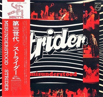 Strider (9) - Misunderstood, LP, (Vinyl)