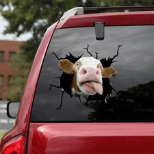 Funny Cow Crack Sticker 12x12  PVC PLASTIC Car Window Meme Cattle Decal Laptop