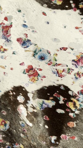 Floral Calfskin Real Hide / Multi-color Acid Washed Calf Hide Size: 41X32 in - Video 1 of 1