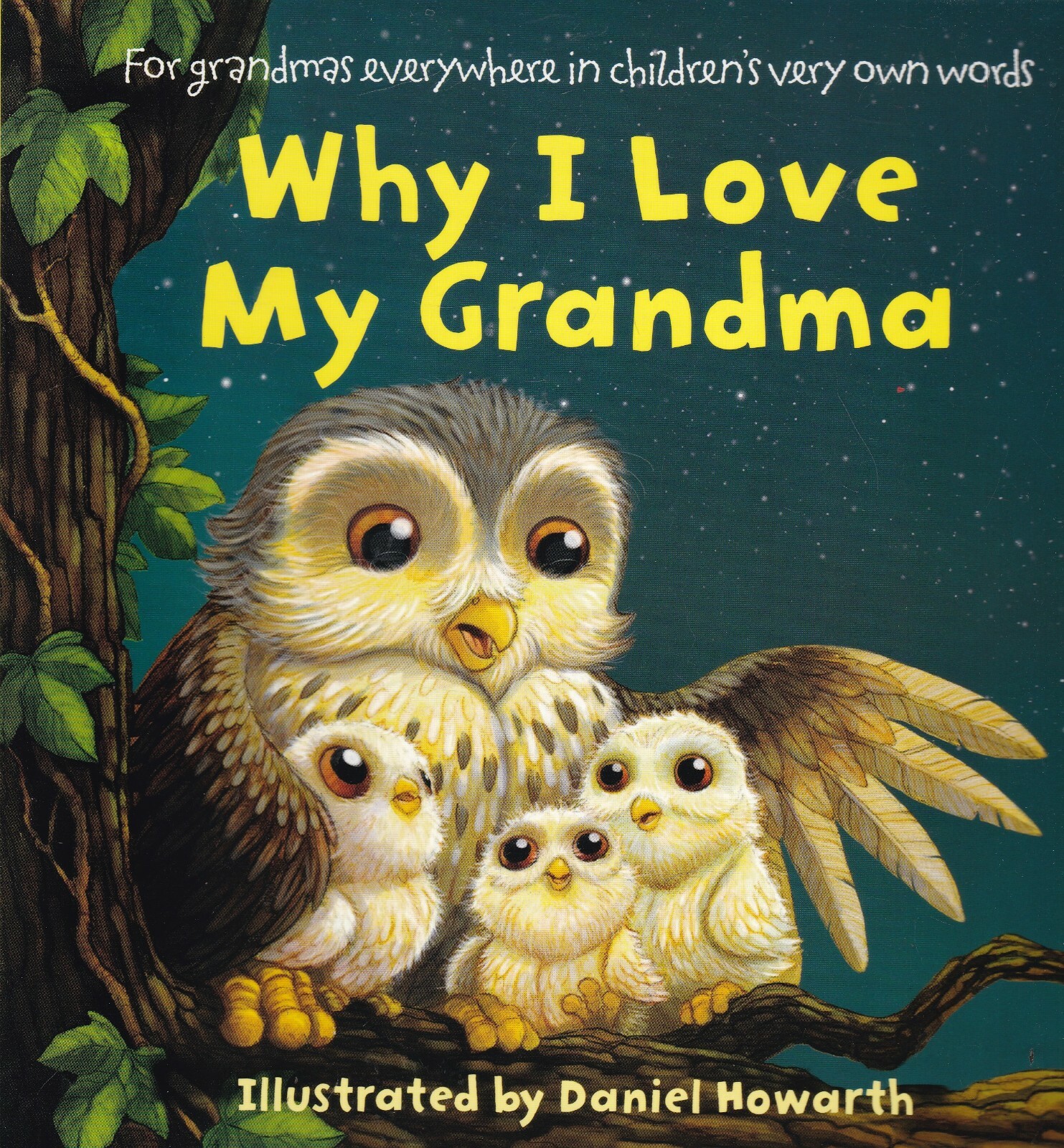 Why I Love My Grandma Paperback Book Illustrated by Daniel Howarth