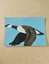ACEO Canadian Goose Flying Mini Painting Original Acrylic Bird Artwork Signed