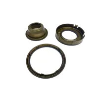 T162960K Kit Includes 3 (Bonded) Pistons, Underdrive Piston, Low-Reverse Piston