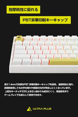 Princeton ULTRA PLUS Gasket Mount Gaming Mechanical Keyboard