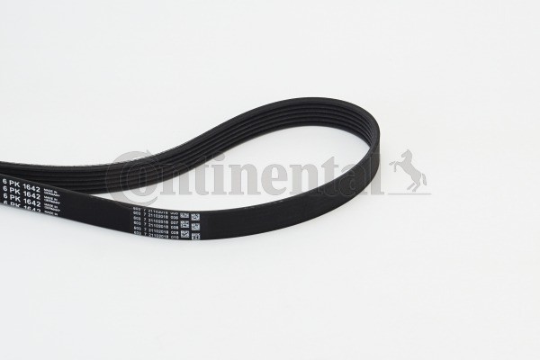 1X Continental Ctam 6PK1642 Keilrippenriemen FüR Jaguar Hyundai Aro-image