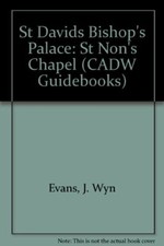 St Davids Bishop's Palace: St Non's Chapel (CADW Guidebooks) By 