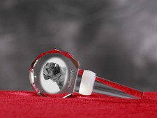 Bullmastiff, Crystal Wine Stopper with Dog ,Wine and Dog Lovers, High Quality UK