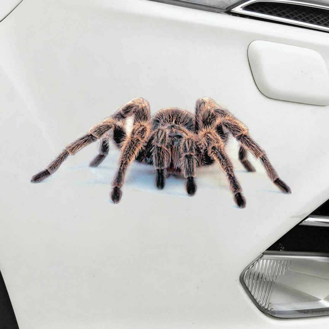2x Car Vinyl 3D Spider Tarantula Realistic Tailgate Hood Window Decal Vehicle