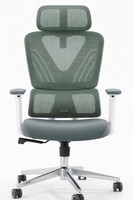 Ergonomischer BüRostuhl Mit NetzrüCken Und Verstellbaren Armlehnen