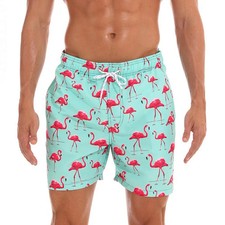 Flamingo Swim Trunks Mens Quick Dry Shorts Elastic Waist Drawstring Beach M-4XL