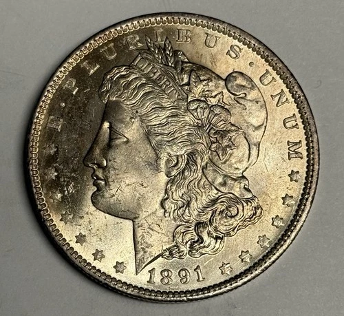 Mint State 1891-O Morgan Silver Dollar (original surfaces) U.S. $1 Coin Low MS