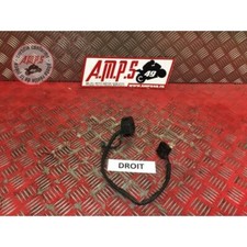 Commodo Triumph 2000