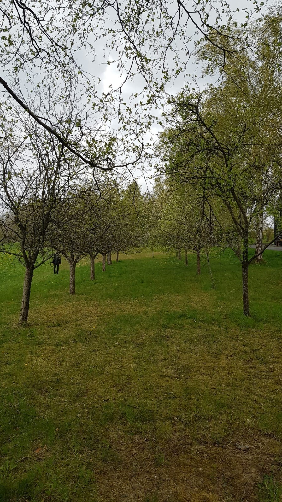 Bild 2 von 20