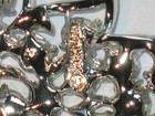 Vintage Demi Parure Pin Matching Earrings Set Red AB Rhinestones Grapes 1959 — photo 10