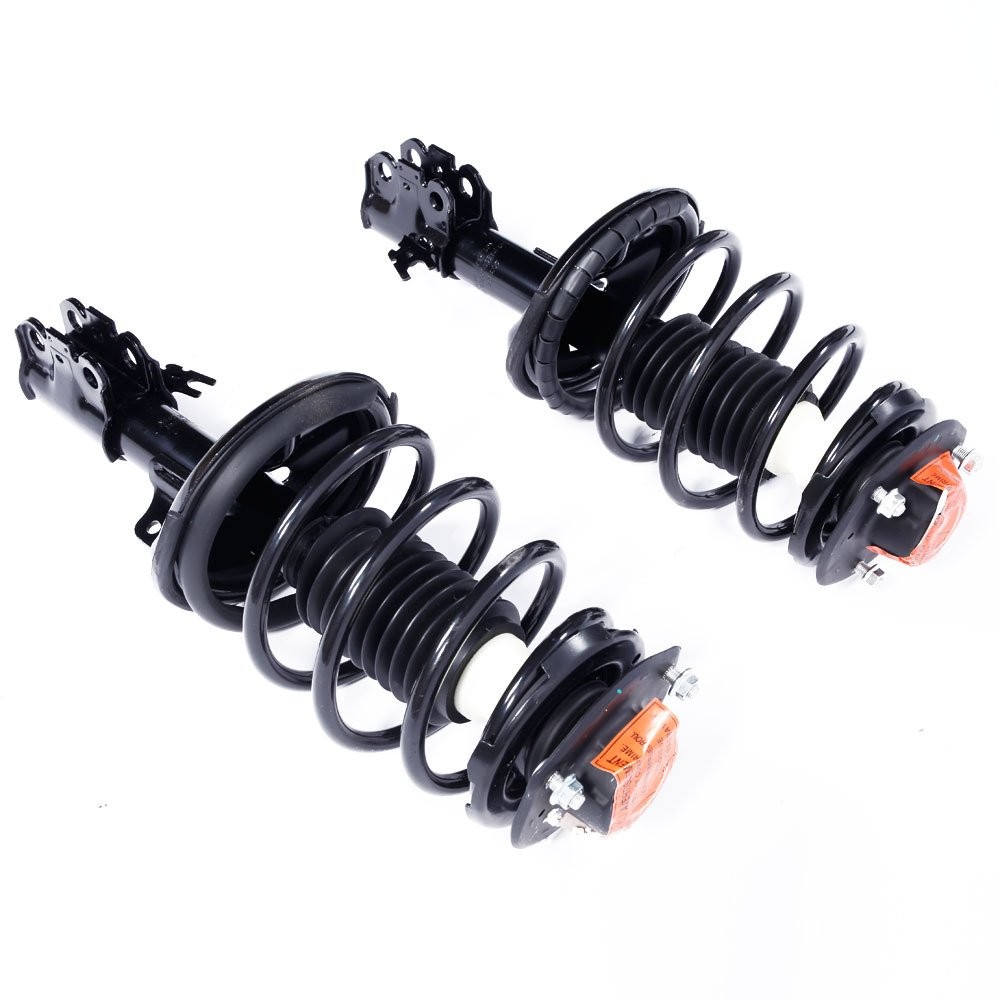Front Struts Assembly w/Coil Spring, 171678, 171679
