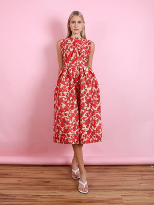NWT KIKA VARGAS Mette Dress Red Rose Floral size 4