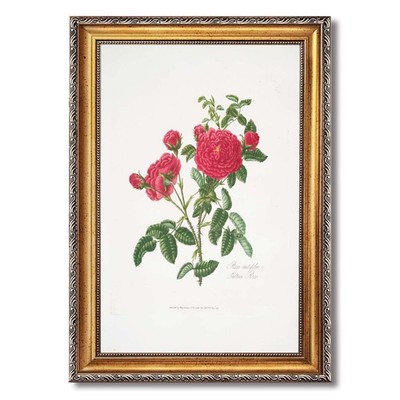 Red Rose Botanical Art Canvas Oil Paintings Reproduction
