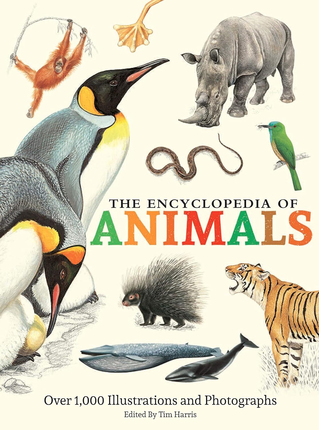 The Encyclopedia of Animals: More than 1,000 Illustrations and Photographs [hard