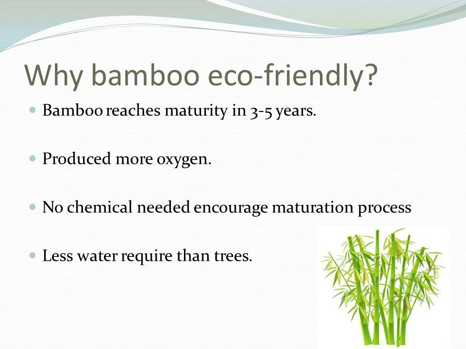 Funda rígida de bambú para teléfono PC iPhone 6 / 6s+ Plus bambú ecológica y sostenible Foto 4 de 4