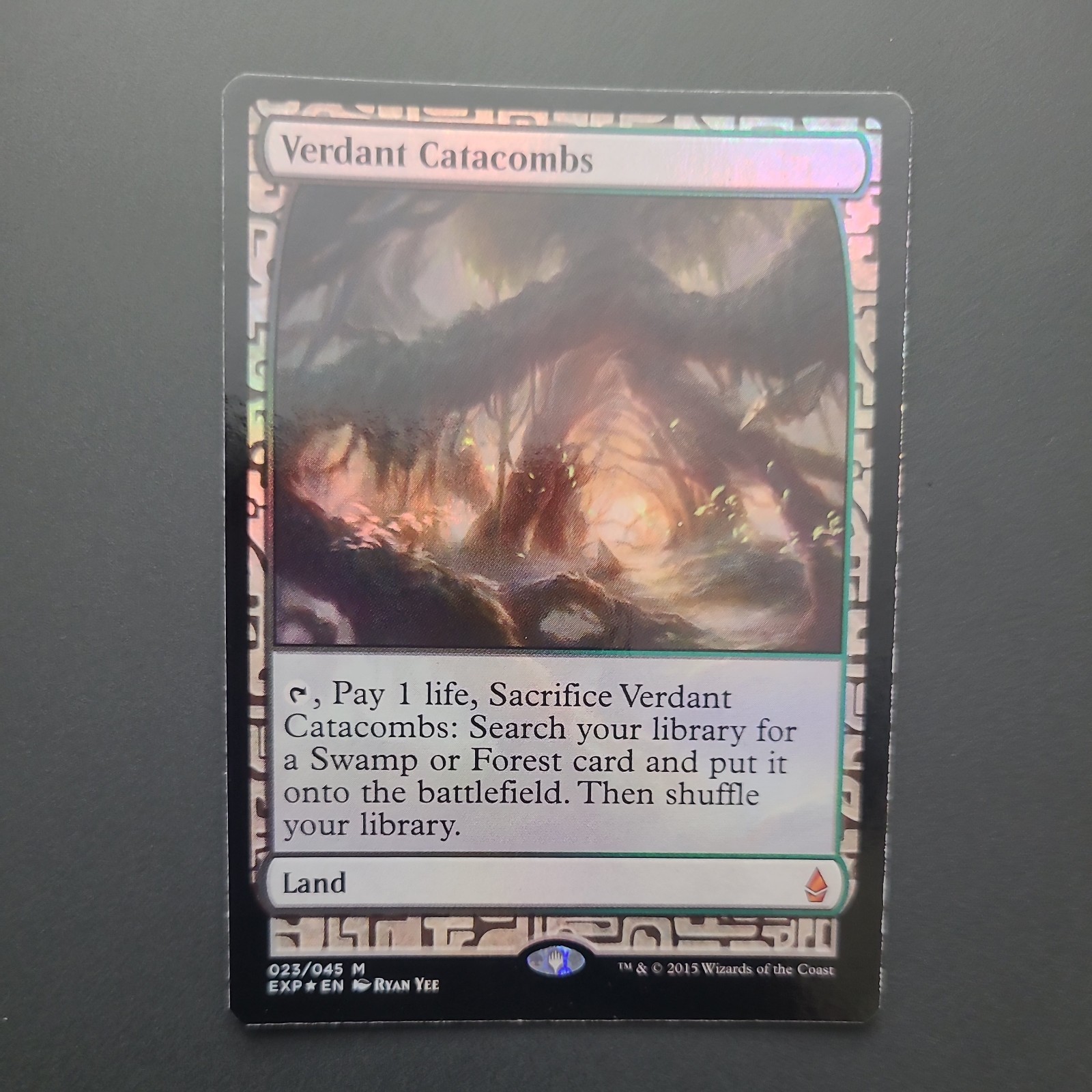 Foil Verdant Catacombs Zendikar Expeditions MtG Magic NM Near Mint Land
