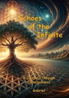 Echoes Of The Infinite A Journey Through Consciousness Peter GabriëL Visser Buch