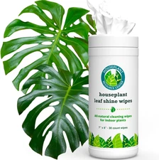 Houseplant Leaf Shine & Cleaner Wipes | Removes Dust, Dirt & Water Spots for Hea